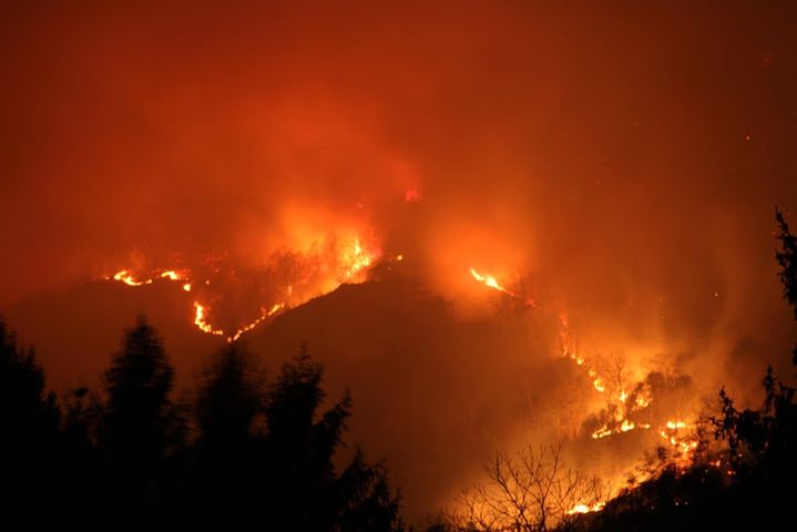 Incendio riserva naturale del Sacro Monte di Belmonte - YouReporter