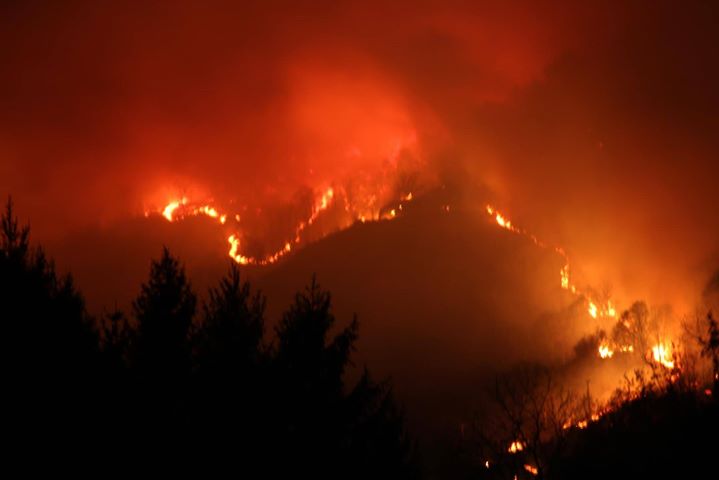 Incendio riserva naturale del Sacro Monte di Belmonte - YouReporter